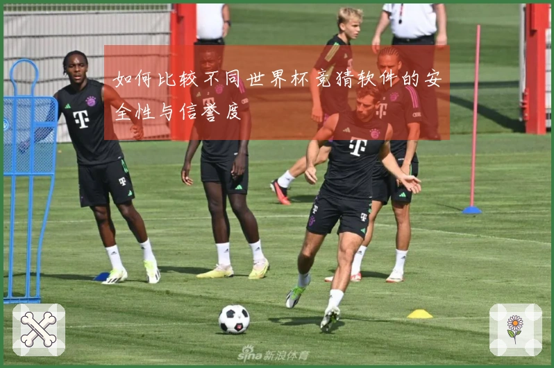 如何比较不同世界杯竞猜软件的安全性与信誉度