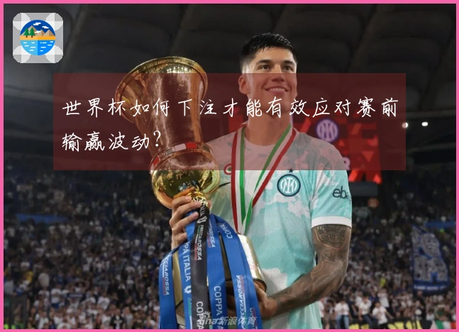 世界杯如何下注才能有效应对赛前输赢波动？